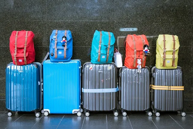 Walizki 2019: co jest na topie?